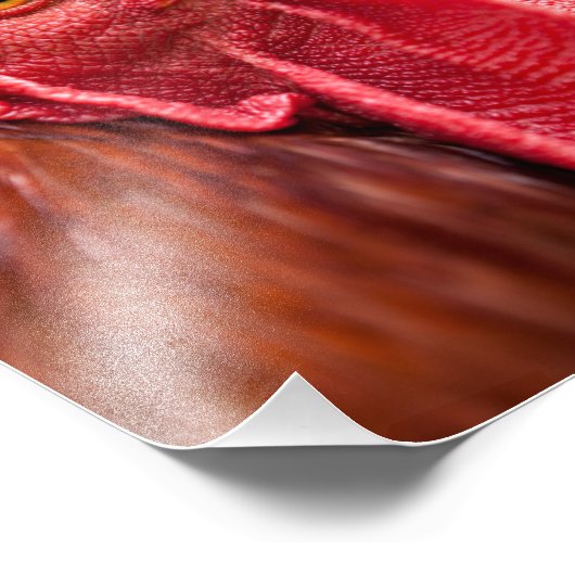 Impression Photo Rooster Face (Coin)