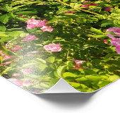 Impression Photo Rosarium en fleurs (Coin)