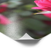 Impression Photo Rose (Coin)