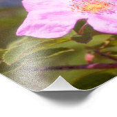 Impression Photo Rose (Coin)