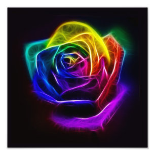 Impression Photo Rose arc-en-ciel fractal
