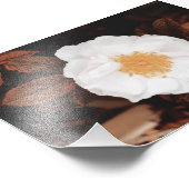 Impression Photo Rose Blanc Sauvage Sur Feuilles D'Automne Tonées D (Coin)