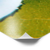 Impression Photo Rose blanche sous ciel bleu (Coin)