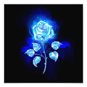 Impression Photo Rose bleu brûlant