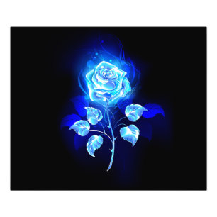 Impression Photo Rose bleu brûlant