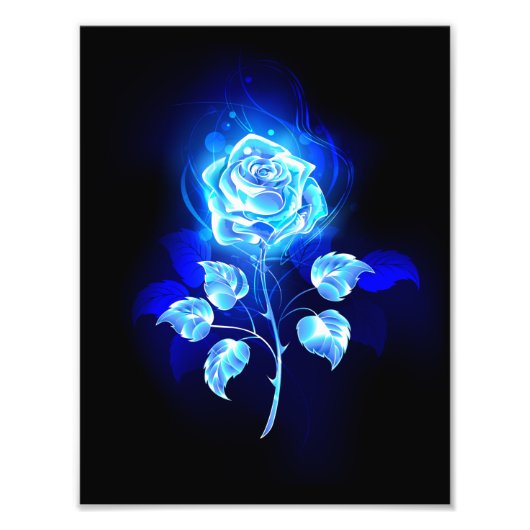 Impression Photo Rose bleu brûlant (Devant)