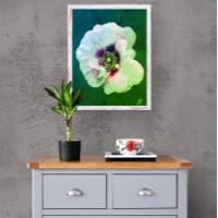 Rose boanche avec cœur foncé - peinture à l'huile