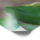 Impression photo rose Buds (Coin)