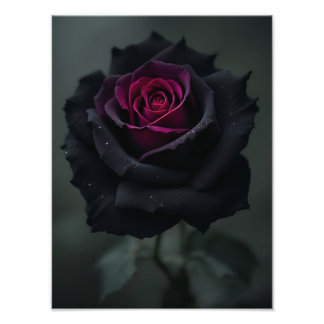 Impression Photo Rose Cœur Noir