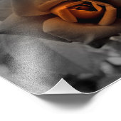 Impression Photo Rose de bronze à midi (Coin)