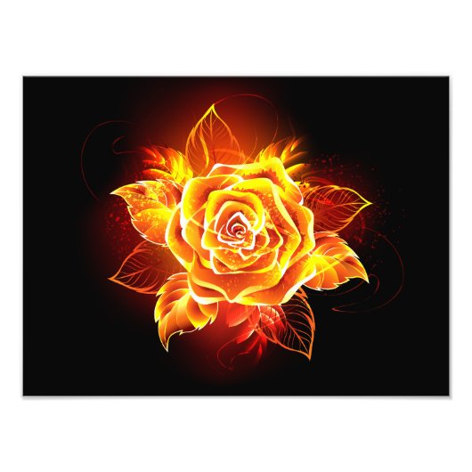 Impression Photo Rose de feu en fleurs (Devant)