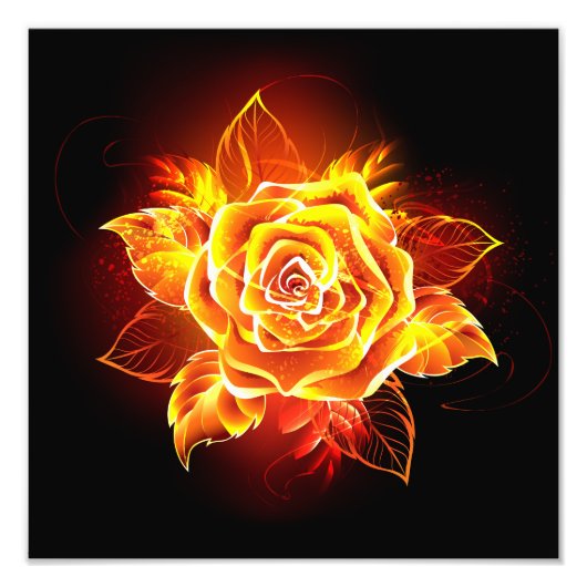 Impression Photo Rose de feu en fleurs (Devant)