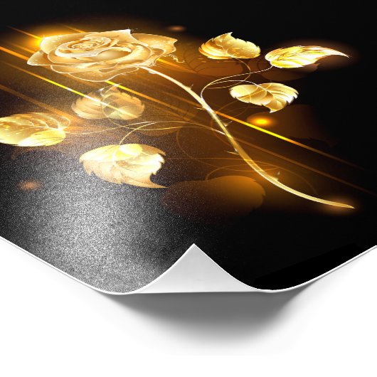 Impression Photo Rose d'or ( rose d'or ) (Coin)