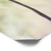 Impression Photo Rose du désert en rose (Coin)