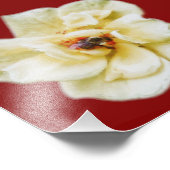 Impression Photo Rose et abeille (Coin)