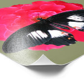 Impression Photo Rose et Swallowtail (Coin)