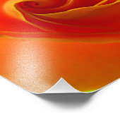 Impression Photo Rose jaune (Coin)