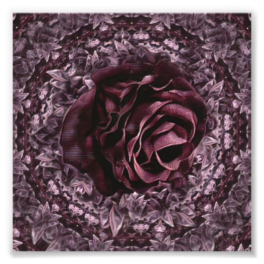 Impression Photo Rose Mandala (Devant)