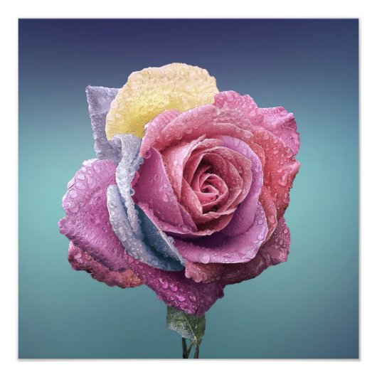 Impression Photo Rose multicolore (Devant)