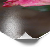 Impression Photo Rose orange (Coin)