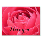 Impression Photo Rose rose (Devant)