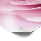 Impression Photo Rose rose (Coin)
