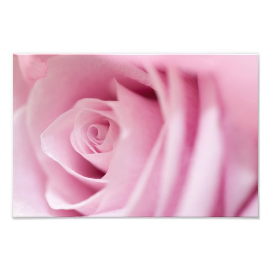 Impression Photo Rose rose (Devant)