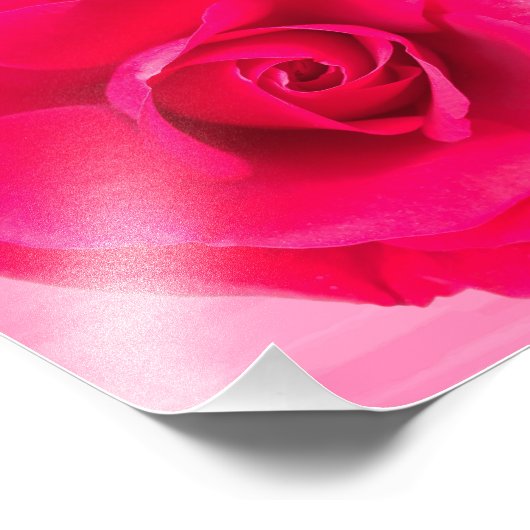 Impression Photo Rose rose romantique v2 (Coin)