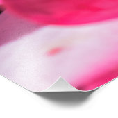 Impression Photo Rose rose rose (Coin)