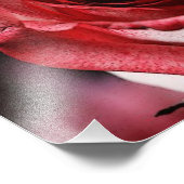 Impression Photo Rose rouge (Coin)