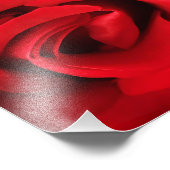 Impression Photo Rose rouge (Coin)