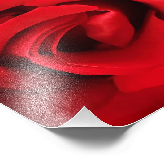 Impression Photo Rose rouge (Coin)