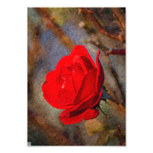 Impression Photo Rose rouge