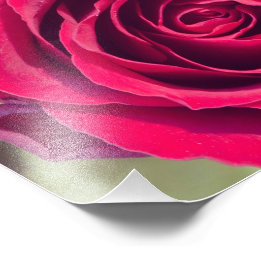 Impression Photo Rose rouge (Coin)