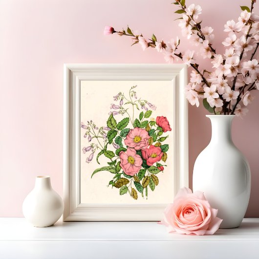 Impression Photo Rose sauvage précoce, Langue de la barbe du Pentst