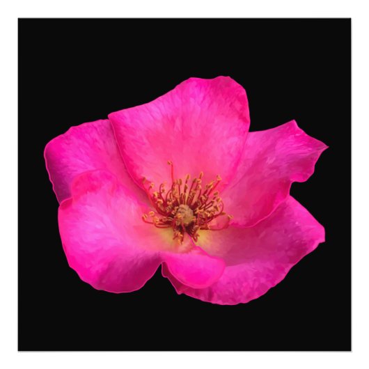 Impression Photo Rose stylo à plumes (Devant)