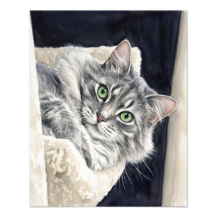 Impression Photo Rose un chat aux yeux verts saisissants
