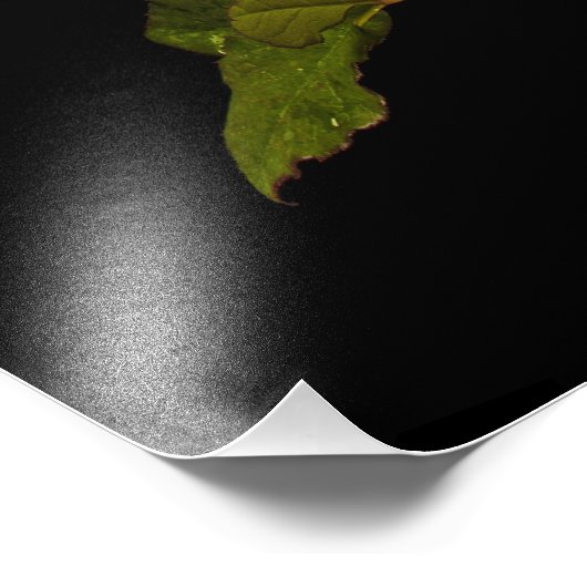 Impression Photo Rose unique (Coin)