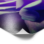 Impression Photo Rosebud violet 8x10 (Coin)