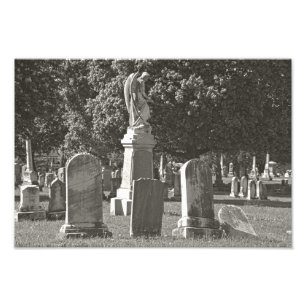 Impression Photo Rosehill III