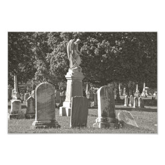 Impression Photo Rosehill III