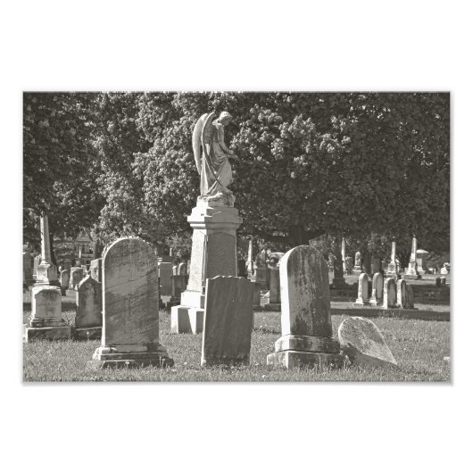 Impression Photo Rosehill III (Devant)