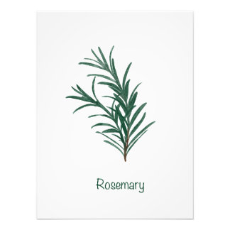 Impression Photo Rosemary Kitchen Wall Art