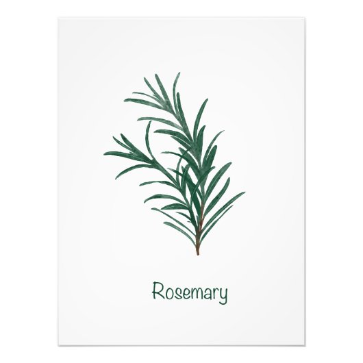 Impression Photo Rosemary Kitchen Wall Art (Devant)