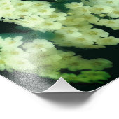 Impression Photo Roses blanches à roulettes sauvages 8x10 (Coin)