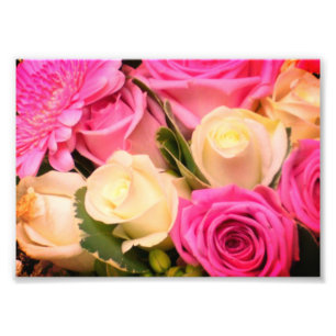 Impression photo Roses blanches et roses