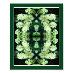 Impression Photo Roses blanches vierges miroirs miroirs Abstraits 8