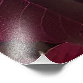 Impression Photo Roses bleu électrique (Coin)