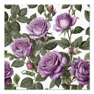 Impression Photo Roses de Rose pourpre,