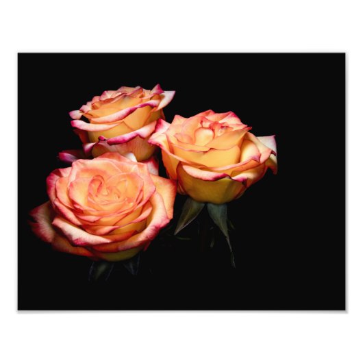 Impression Photo Roses jaunes et roses 1998 (Devant)